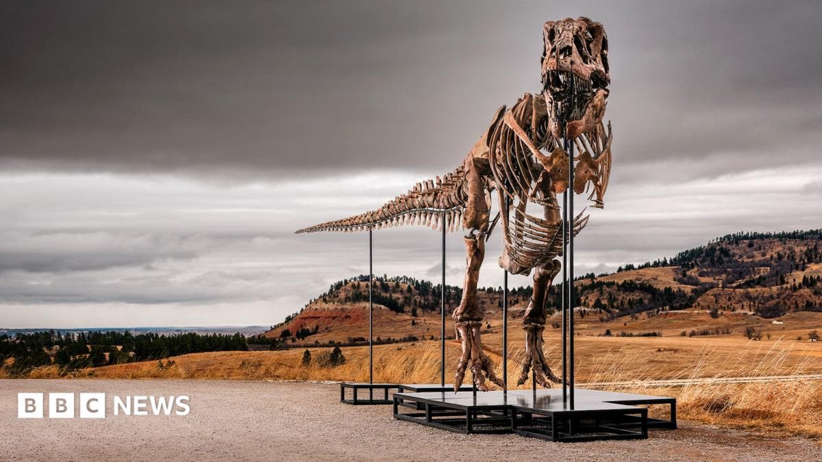 T. rex: Barcha vaqtning eng qimmat fossili bo'lishi mumkin