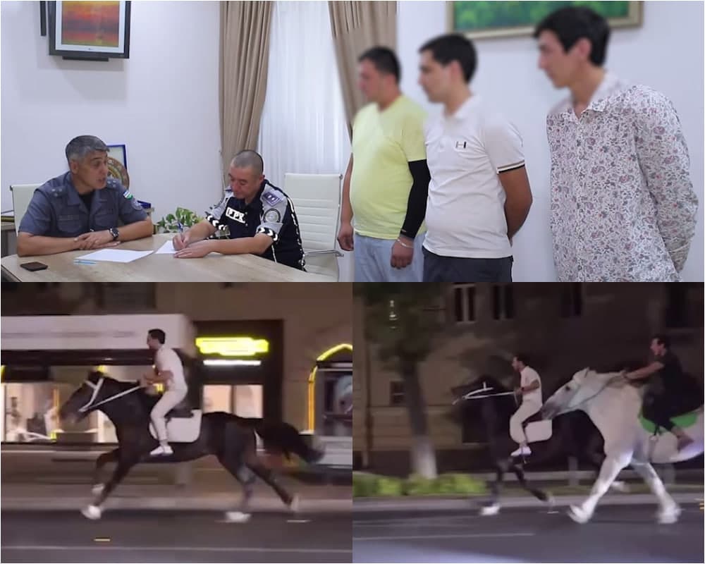Toshkentda ot choptirgan shaxslar IIBga chaqirildi