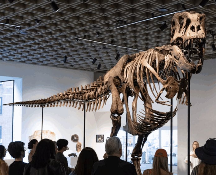 Ulkan dinozavr skeleti auksionda 50 million dollarga sotildi